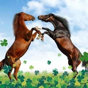 Meet your Posher, Beverly